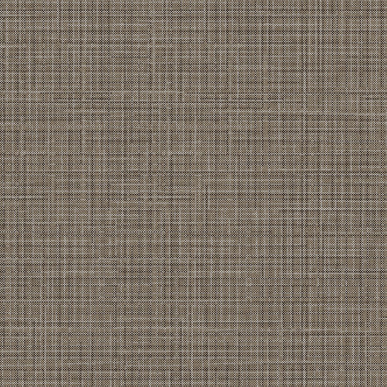 Silver & Brown Lined - NE37